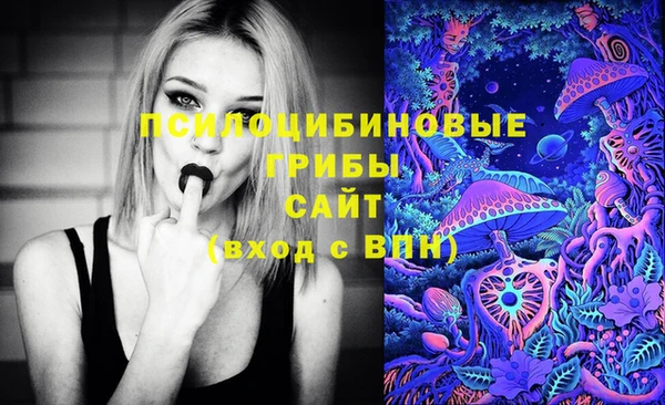 герыч Алексин