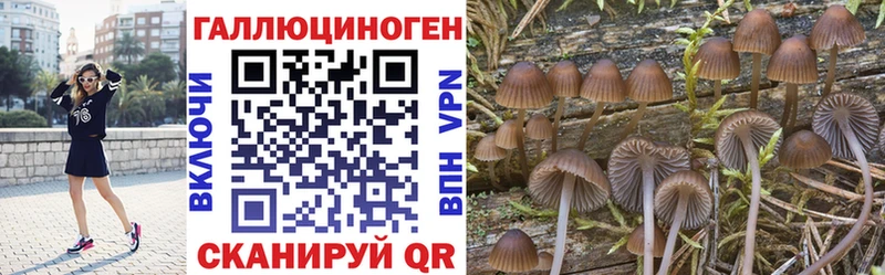 Галлюциногенные грибы ЛСД  кракен   Клин 